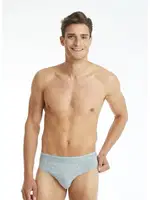 Tender Cotton Erkek Gri Slip Külot BlackSpade 9232 Gri görsel 5