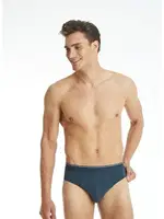 Erkek Slip Antrasit Külot Tender Cotton BlackSpade 9232 Antrasit görsel 5