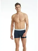 Modal Elastan Erkek Boxer Silver Lacivert BlackSpade 9303  görsel 4