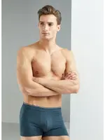 Tender Cotton Erkek Boxer Antrasit BlackSpade 9220  Antrasit detay görünüm