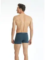 Tender Cotton Erkek Boxer Antrasit BlackSpade 9220  Antrasit görsel 4