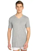 Tutku Erkek Ribana V Yaka Fanila 0107 Gri görsel 4