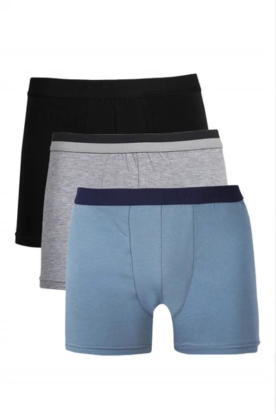 Karışık Renkli Erkek Penye 3Lü Boxer Akbeniz 40095