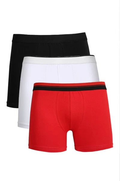 3Lü Erkek Penye Boxer Akbeniz 40103