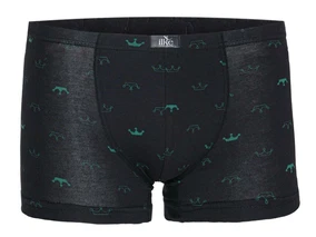 İlke Desenli Modal İlke Erkek Boxer 1616