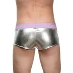 La Blinque Erkek Gümüş Boxer 15734 Gri detay görünüm
