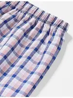 Çift Kaplan Arjantin Boxer 795 detay görünüm