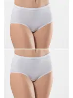 Biyeli 2Li Pamuklu Kadın Hipster Külot Türen 241