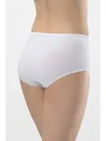 Biyeli 2Li Pamuklu Kadın Hipster Külot Türen 241 detay görünüm