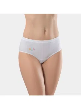 Türen Nakışlı 2Li Pamuklu Basic Kadın Külot Türen 225 - Alternatif Görünüm