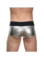 La Blinque Erkek Seksi Borulu Boxer 15739 detay görünüm