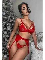 Dantel Jartiyerli Kurdelalı Erotik Sütyen Külot Takım Merry See 2674 Kırmızı görsel 6