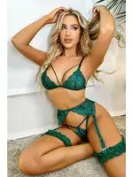 Dantelli Yeşil Erotik Sütyen Jartiyer Takım NightLight 3407 Yeşil
