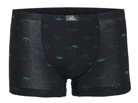 Desenli Modal İlke Erkek Boxer 1616