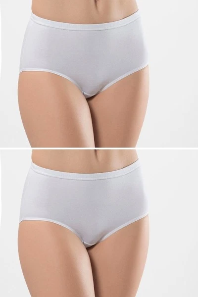 Biyeli 2Li Pamuklu Kadın Hipster Külot Türen 241