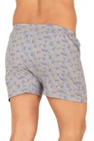 5li Paketli Erkek Pamuklu Esnek Yumuşak Desenli Penye Boxer Şort Külot Özkan 11810 Asorti görsel 4