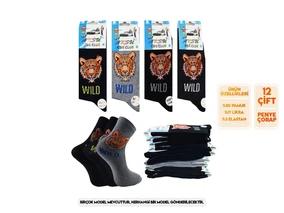 Aksu Mevsimlik Soft Parfümlü Erkek Çocuk Soket Çorap 12'li Aksu 01