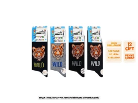 Aksu Mevsimlik Soft Parfümlü Erkek Çocuk Soket Çorap 12'li Aksu 01 - Alternatif Görünüm