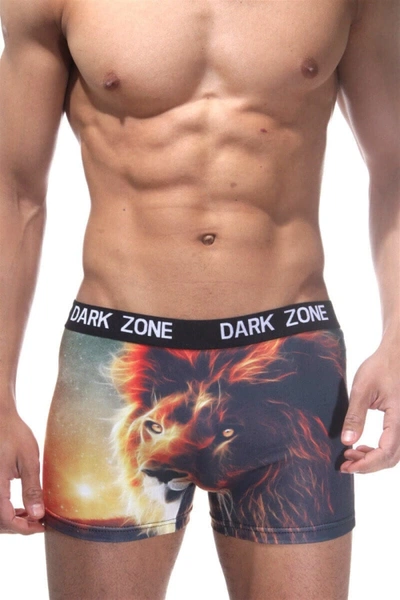 Aslan Desenli Renkli 3D Boxer Darkzone DZN1052