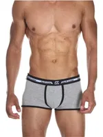 Biyeli Gri Erkek Boxer Darkzone DZN3225