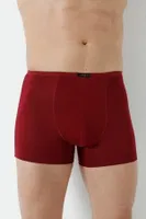 Bordo Bambu Boxer Ince Bel Lastikli Arma Yıldız 1190 - 5 ADET Bordo görsel 4