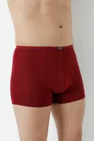 Bordo Bambu Boxer Ince Bel Lastikli Arma Yıldız 1190 - 5 ADET Bordo görsel 5