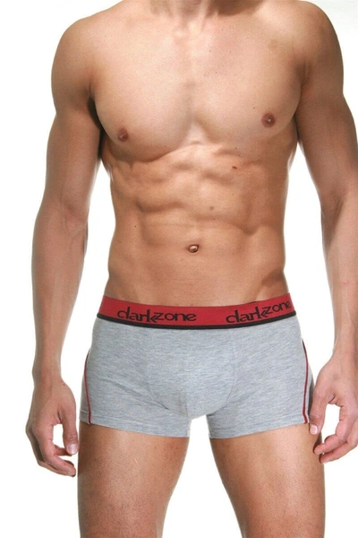 Bordo Çizgili Gri Erkek Boxer Darkzone DZN3103