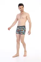 Çift Kaplan Erkek Boxer 796 Renkli Figür Dijital Baskı Görsel görsel 5