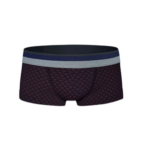 Darkzone Desenli Bordo Erkek Hipster Boxer Darkzone DZN2445