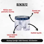 Desenli Gri Erkek Boxer Darkzone DZN2672 görsel 4