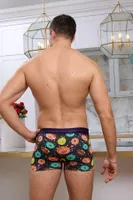 Donuts Desenli Erkek Boxer (Dijital Baskılı) Darkzone DZN2063 görsel 7