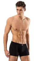 Erdem Kısa Slim Fit Erkek Boxer 1420 Siyah görsel 6