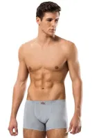 Erdem Kısa Slim Fit Erkek Boxer 1420 Gri görsel 8