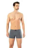 Erdem Kısa Slim Fit Erkek Boxer 1420 Antrasit