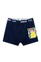 Erkek Çocuk Boxer Renkli Baskılı ÖTS 7238 - 6 ADET görsel 4