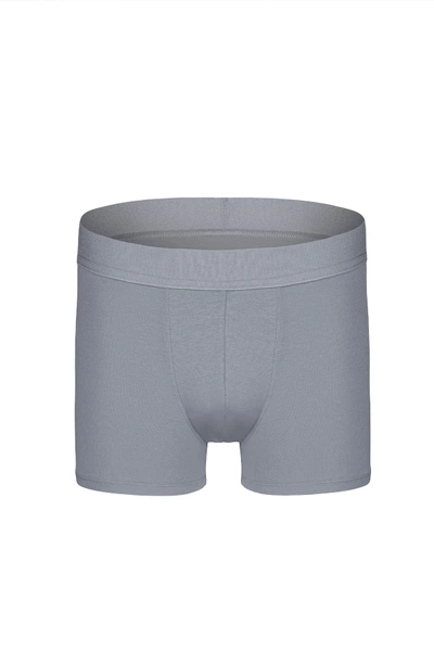 Erkek Gri Organik Pamuk Boxer Darkzone DZN2153