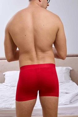 Darkzone Erkek Kırmızı Bambu Boxer Darkzone DZNBM2006 - Alternatif Görünüm