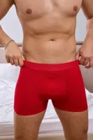 Erkek Kırmızı Bambu Boxer Darkzone DZNBM2006 görsel 6
