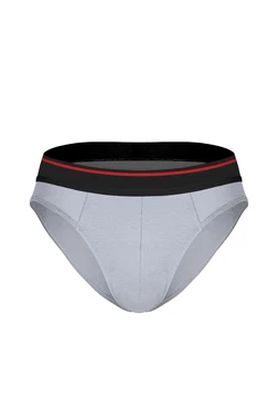 Darkzone Çizgili Lastikli Gri Erkek Slip Darkzone 1003