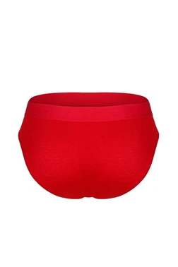 Darkzone Erkek Lastikli Kırmızı Bambu Slip  Darkzone DZNBM6306 - Alternatif Görünüm