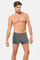 Erkek Modal Boxer Anıt 1284 Antrasit görsel 4