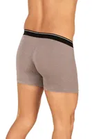 Erkek Modal Pamuklu Boxer Gri Şort Özkan 11256 Gri detay görünüm