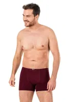 Erkek Pamuklu Bordo Modal Boxer Şort Özkan 11897 Bordo