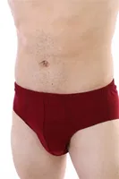 Erkek Süprem Siyah Slip Çift Kaplan 741 Bordo görsel 13