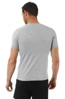 Erkek V Yaka Yarım Kol Pamuklu T-Shirt Fanila Özkan 0273 Gri görsel 6