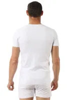Erkek V Yaka Yarım Kol Pamuklu T-Shirt Fanila Özkan 0273 Beyaz detay görünüm