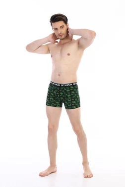 Çift Kaplan Erkek Yeşil Yaprak Desenli Dijital Boxer Çift Kaplan 796 - Alternatif Görünüm