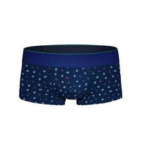 Darkzone Geometrik Desenli Hipster Erkek Boxer Darkzone DZN2450