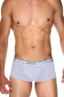Gri Kısa Erkek Boxer Darkzone DZN3303 görsel 7