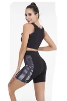 Kadın Kısa Tayt Büstiyer Spor Takım Lady 4001 Görsel detay görünüm